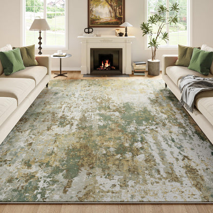 Black Washable Rug 5x7 Area Rugs for Living Room Bedroom Carpet