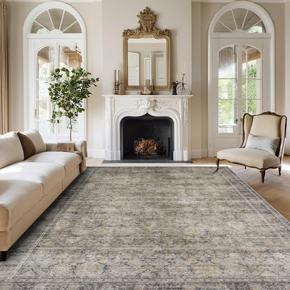 Washable Rugs 5x7 Area Rugs for Living Room,Bedroom,Dining Room Carpet