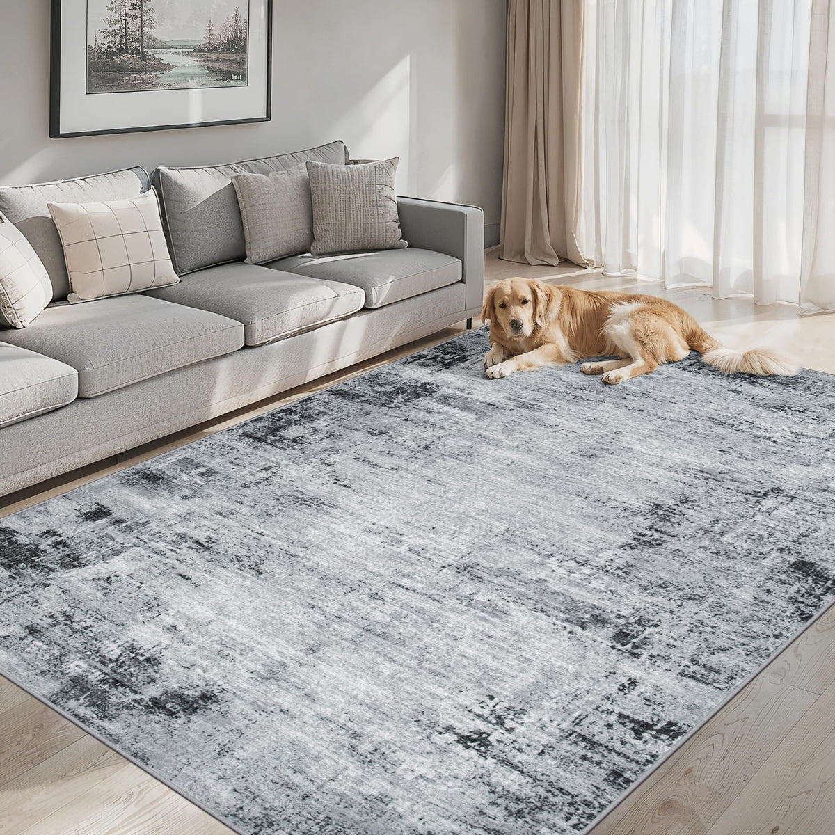 PLHXFR 8x10 Area Rug Living Room: Modern Abstract Washable Carpet Grey