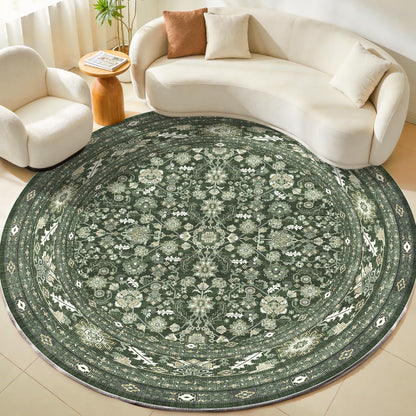 OPPODREAM Vintage Blue Area Rugs 5x7, Washable Rug for Living Room