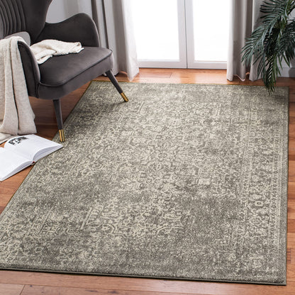 SAFAVIEH Evoke Area Rug 9x12, Large Ivory & Taupe EVK256E